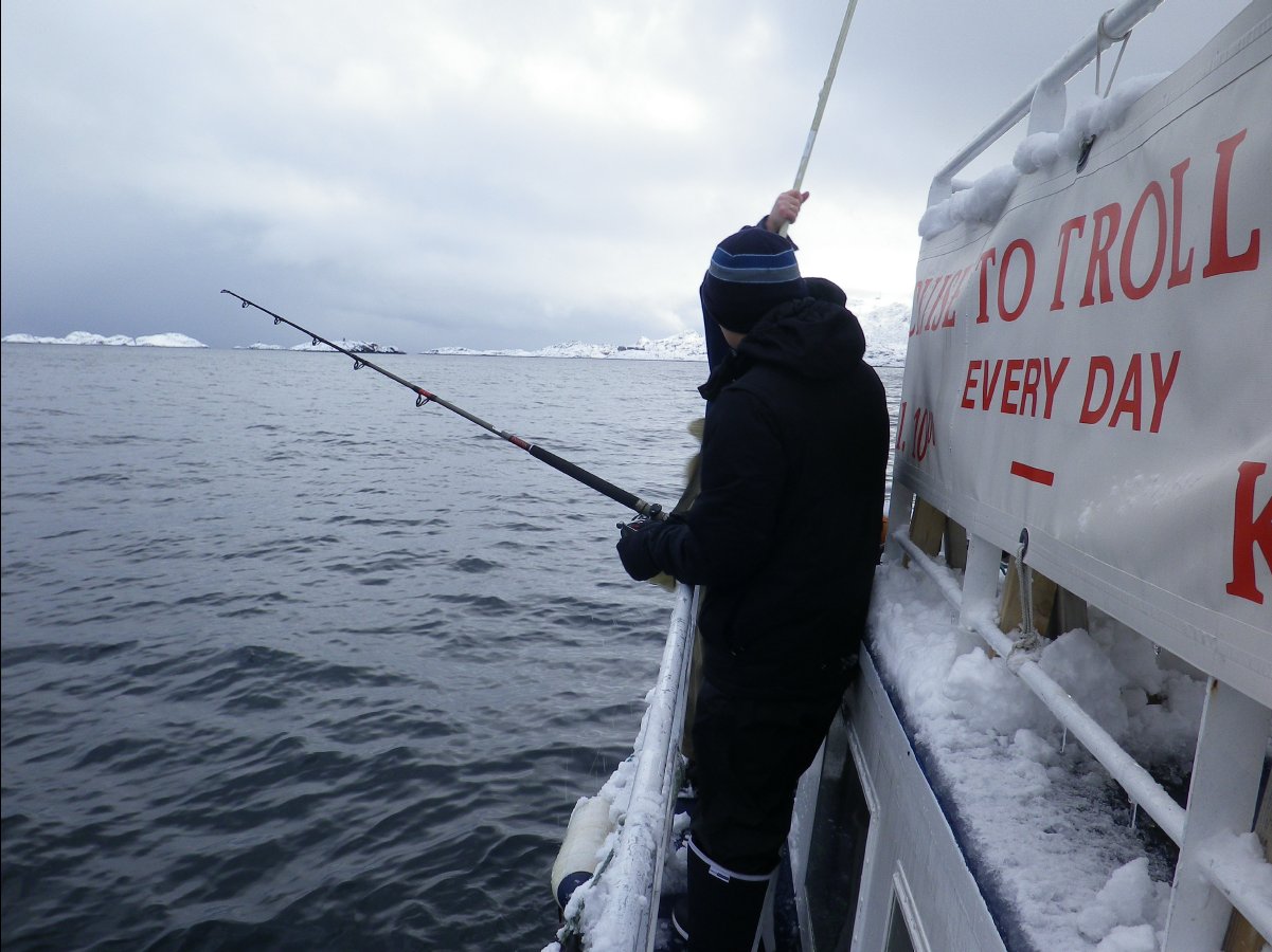 Cod Fishing22
